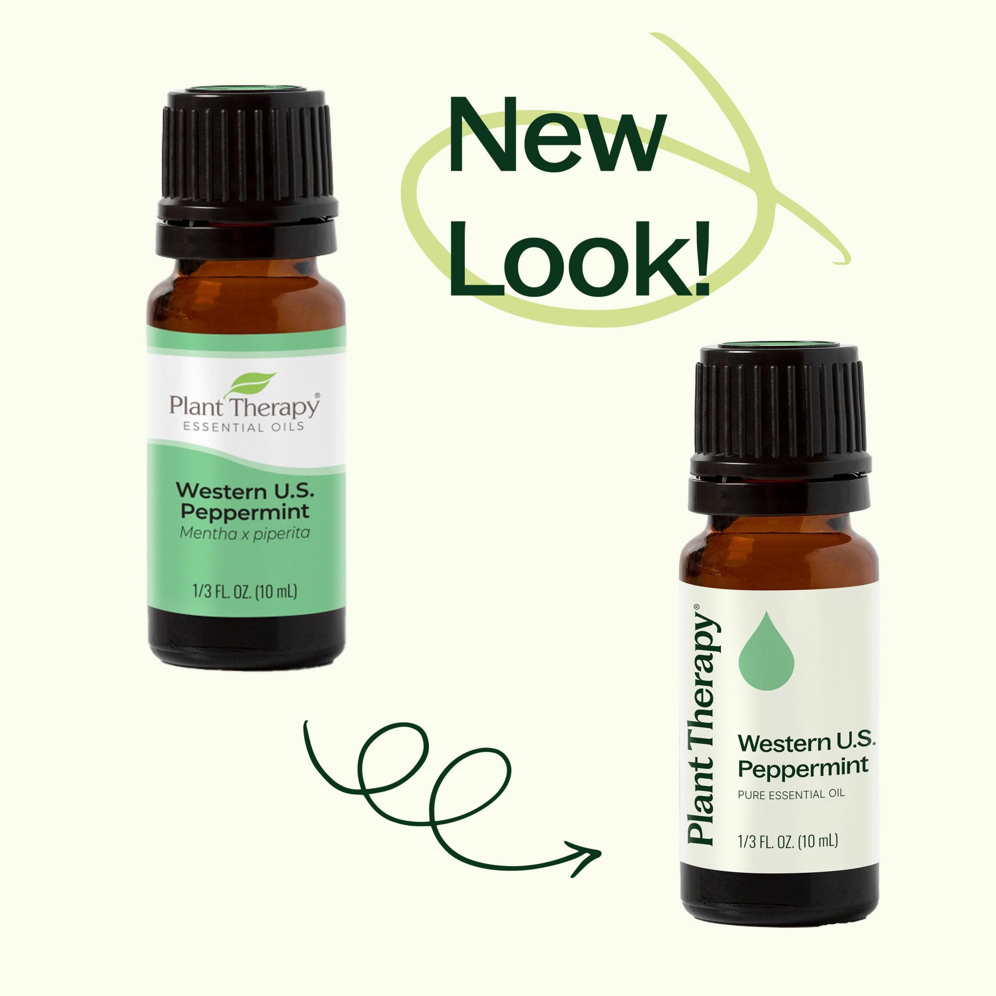 Western U.S. Peppermint Essential Oil Plant Therapy