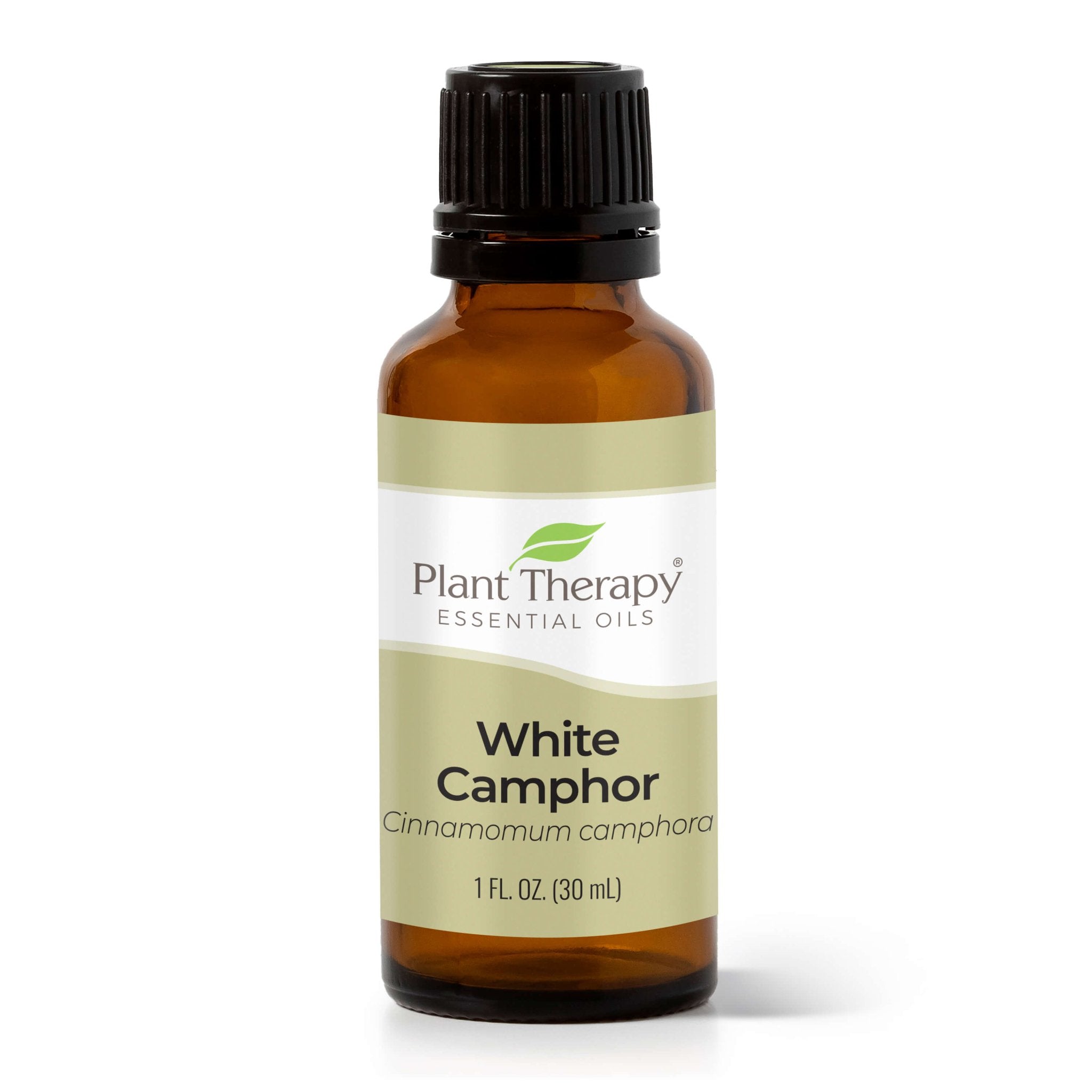 White Camphor Essential Oil Plant Therapy