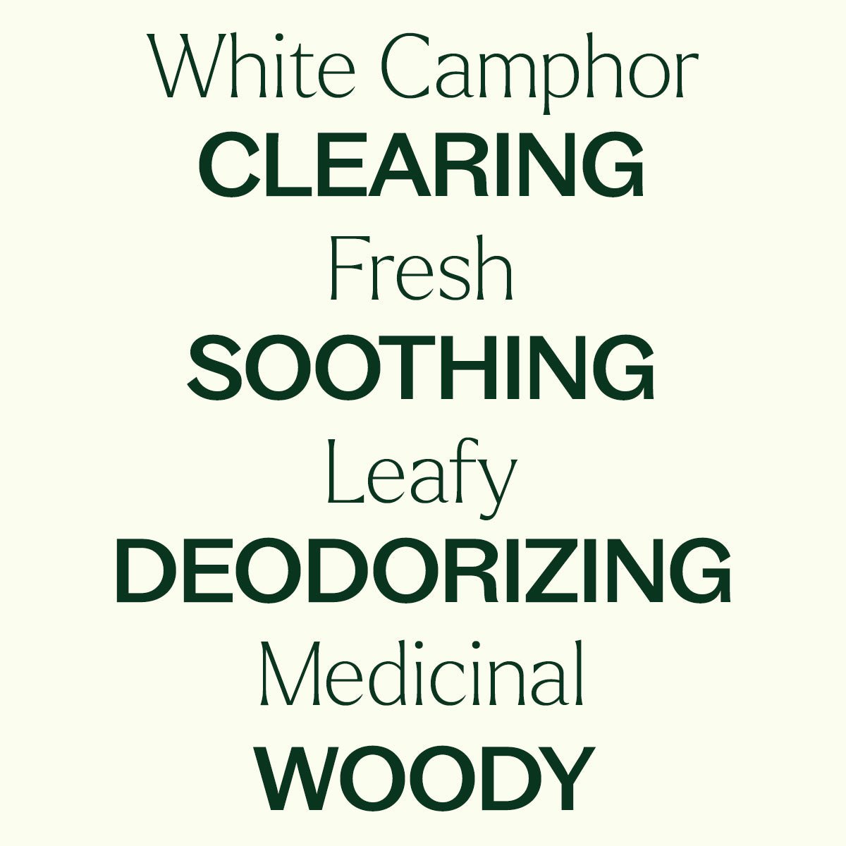 White Camphor Essential Oil Plant Therapy
