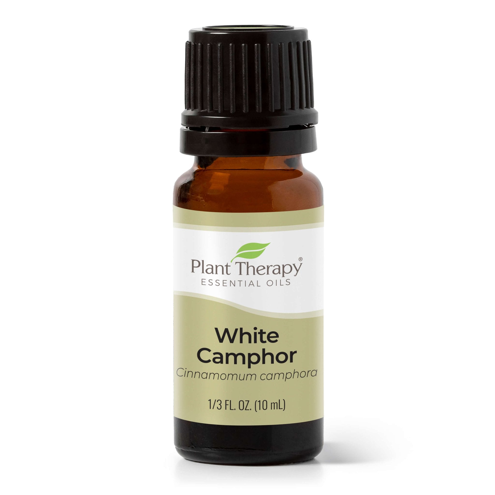 White Camphor Essential Oil Plant Therapy