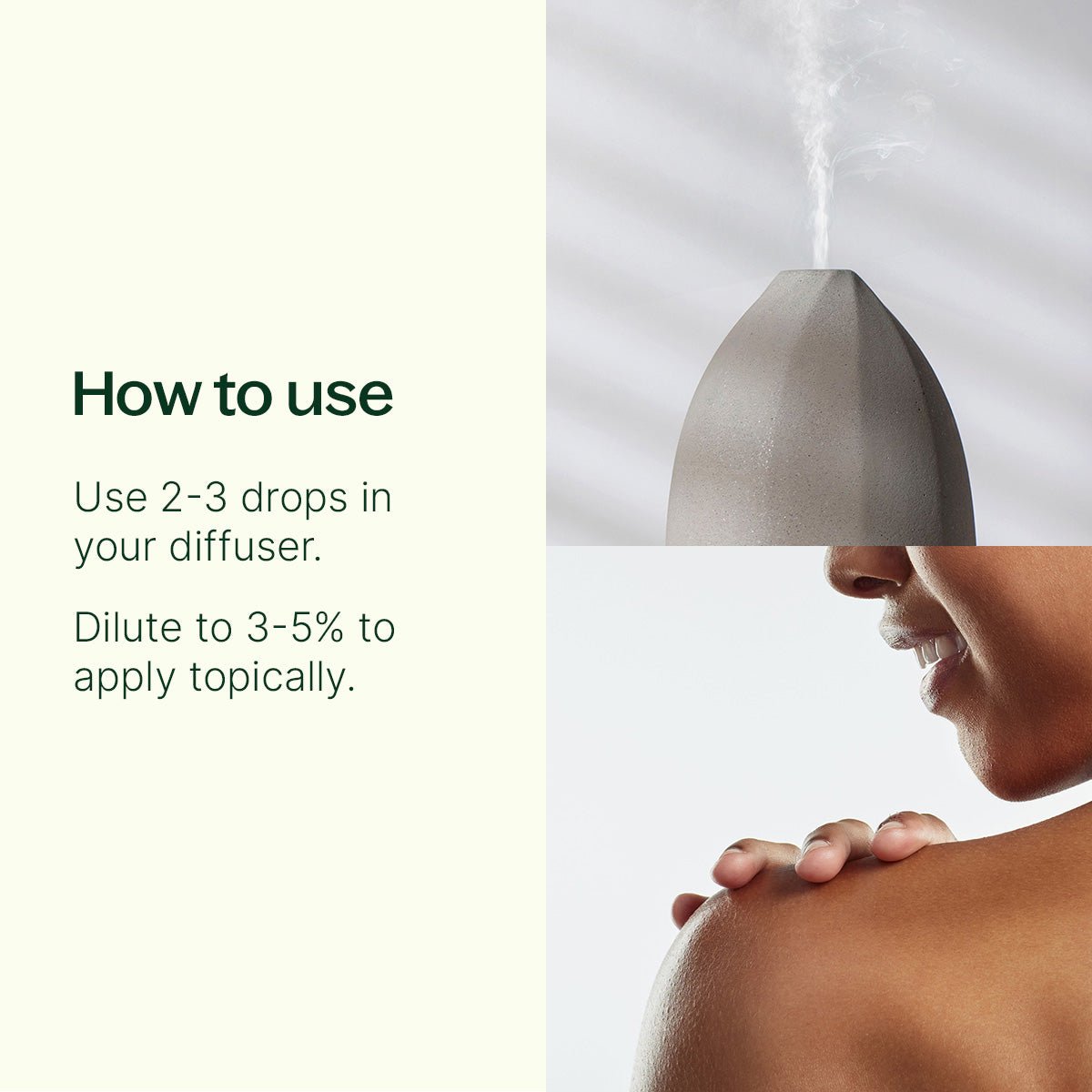 White Camphor Essential Oil Plant Therapy