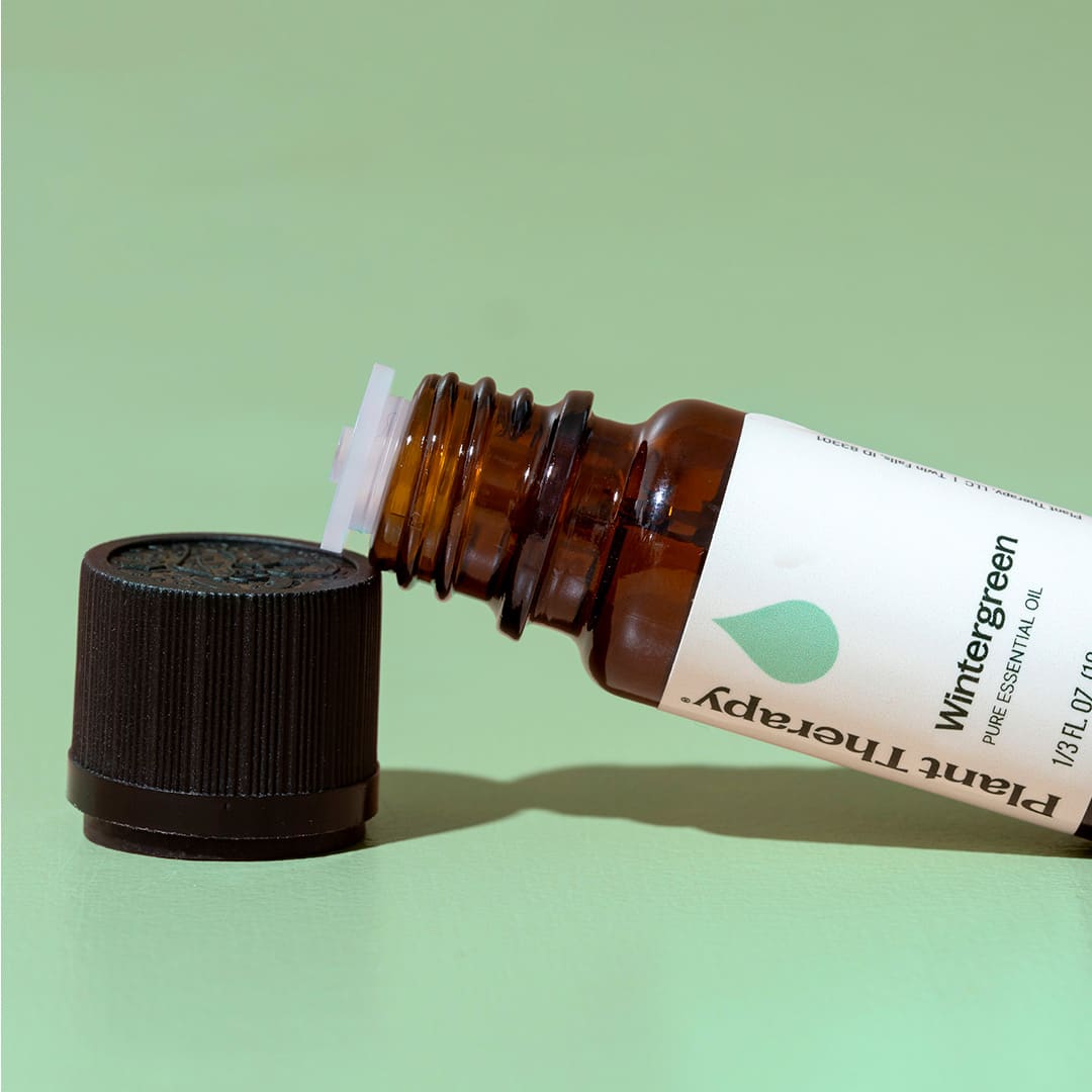 Wintergreen Essential Oil Plant Therapy