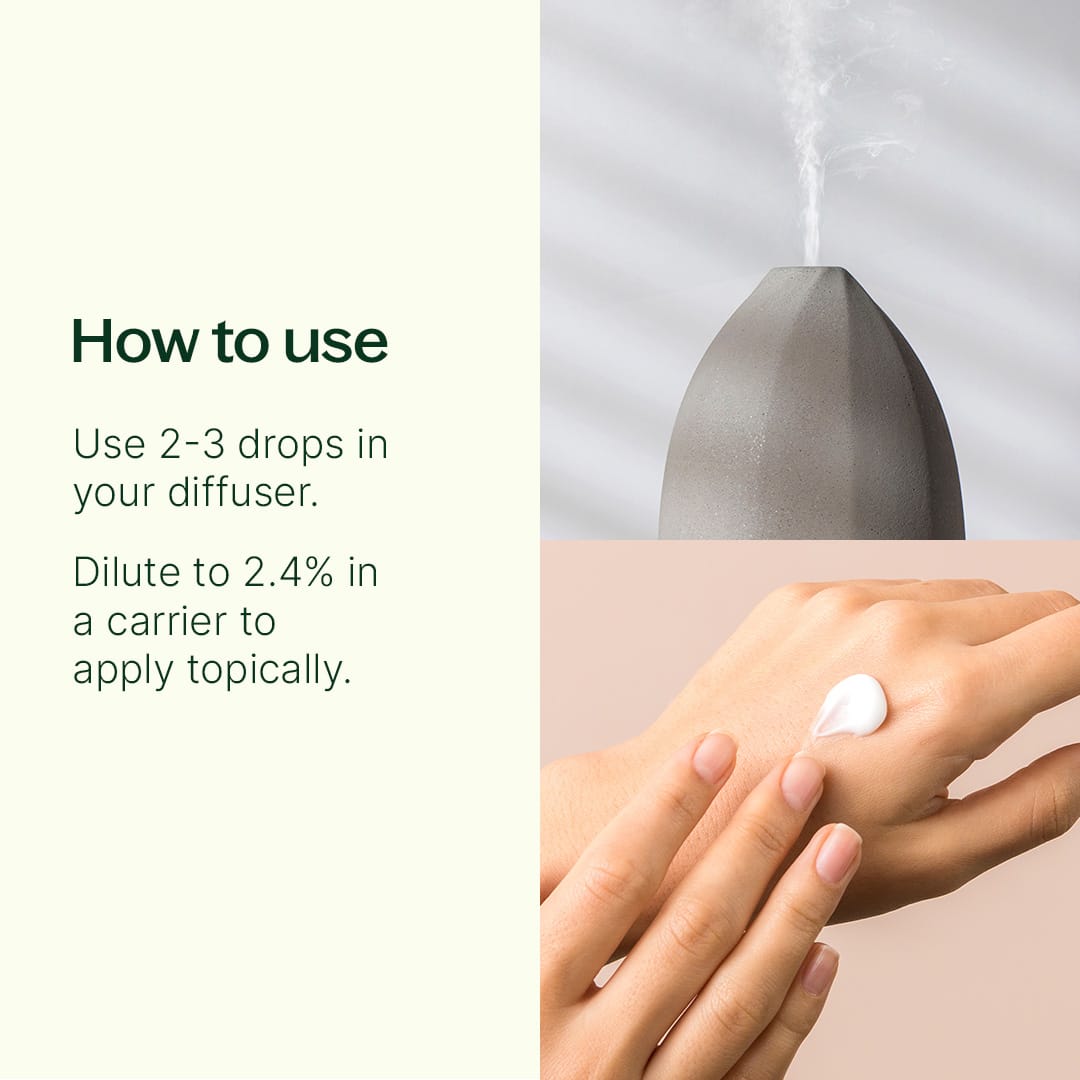 Wintergreen Essential Oil Plant Therapy