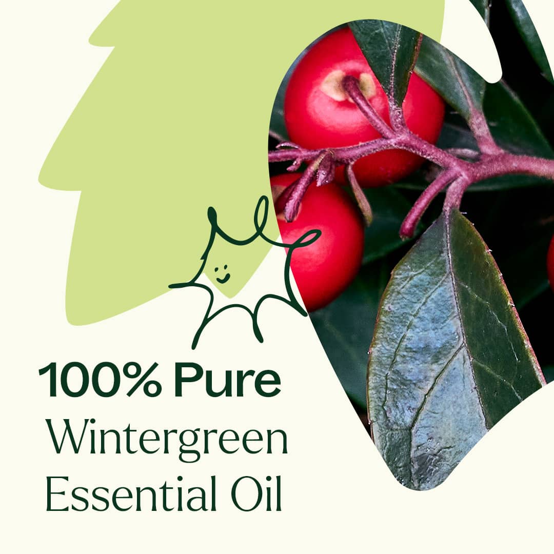 Wintergreen Essential Oil Plant Therapy