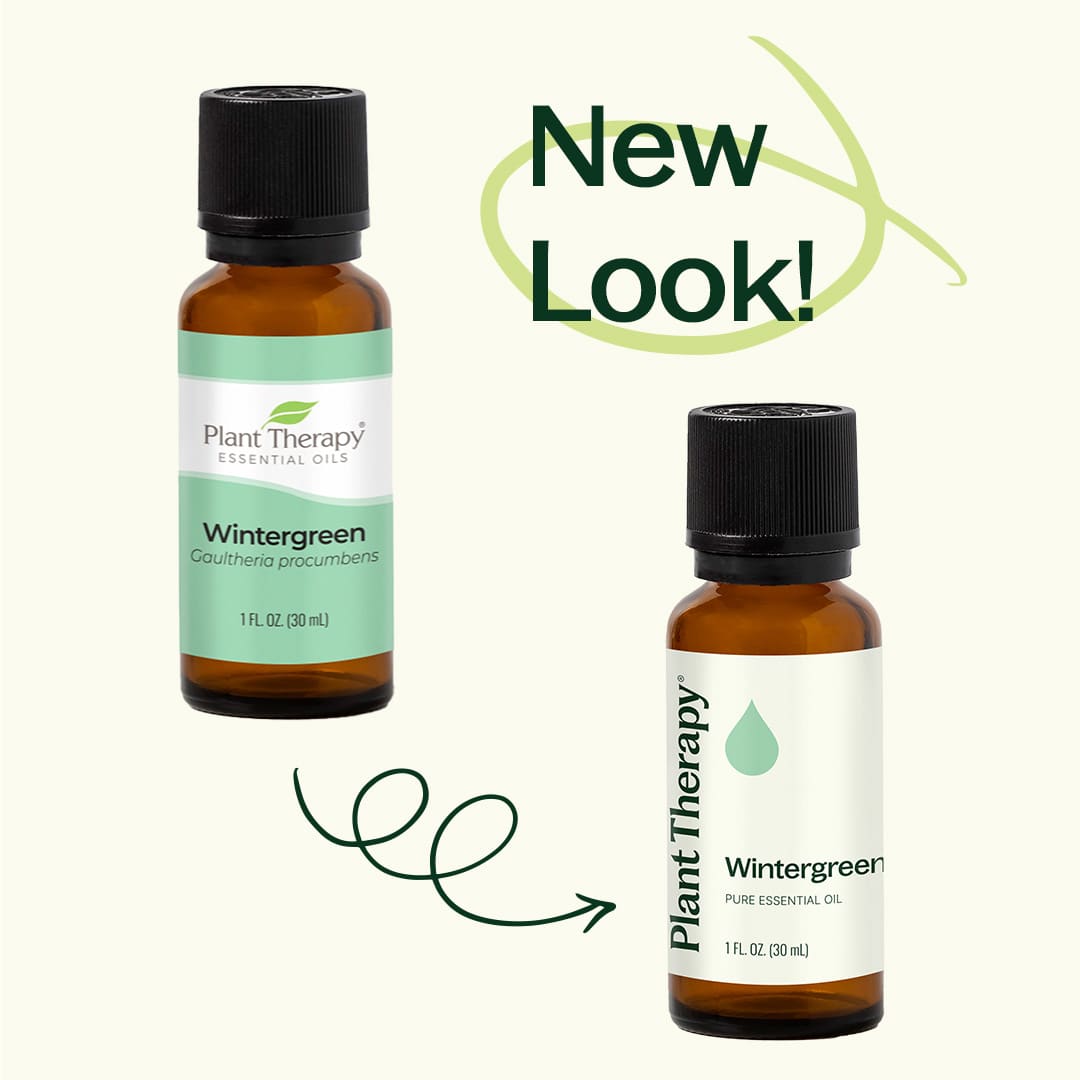 Wintergreen Essential Oil Plant Therapy