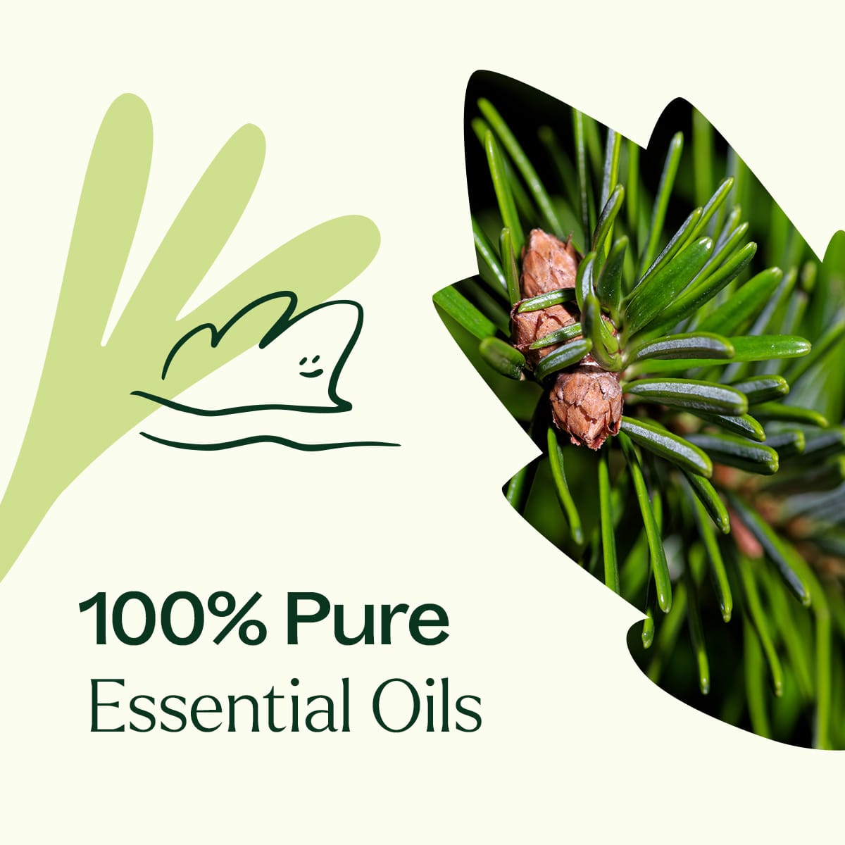 Woodland Retreat™ Essential Oil Blend Plant Therapy