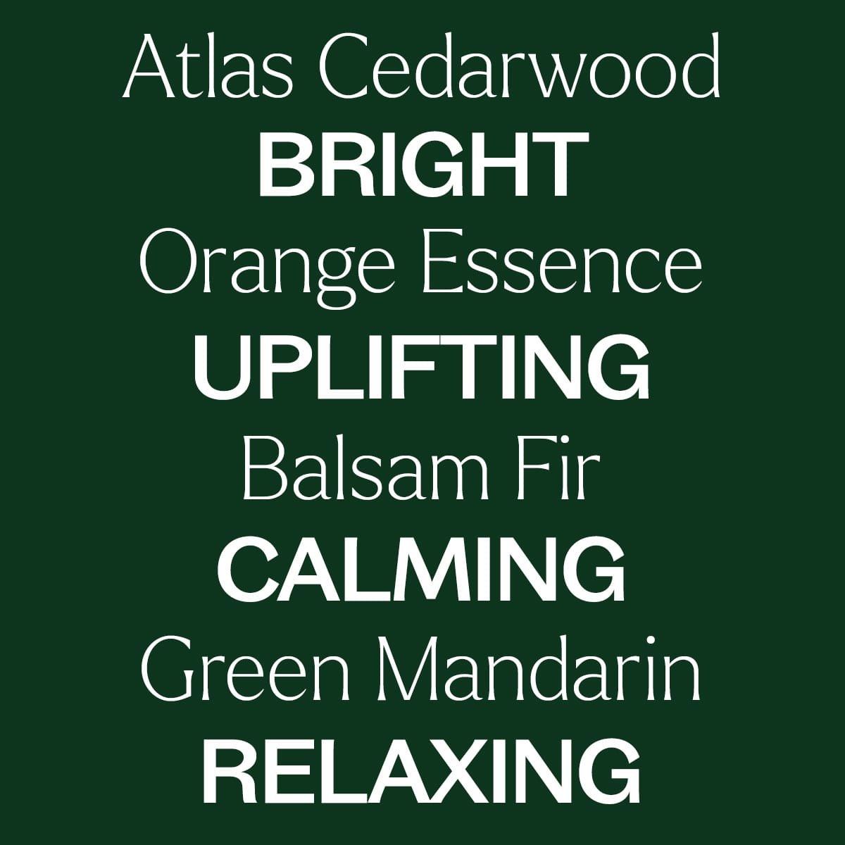 Woodland Retreat™ Essential Oil Blend Plant Therapy