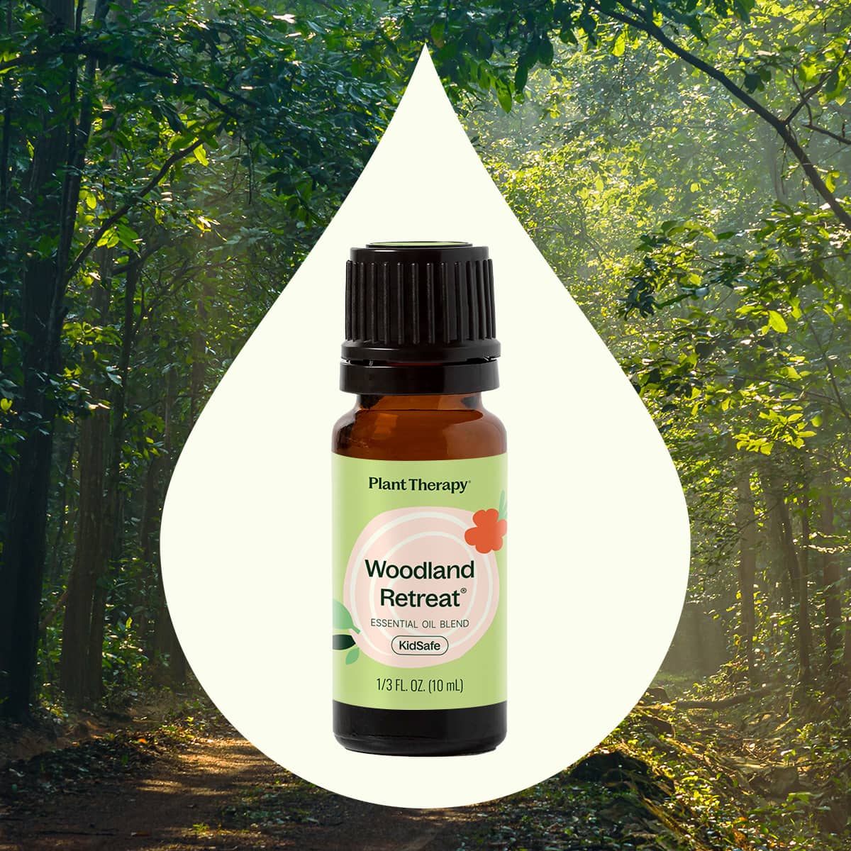 Woodland Retreat™ Essential Oil Blend Plant Therapy