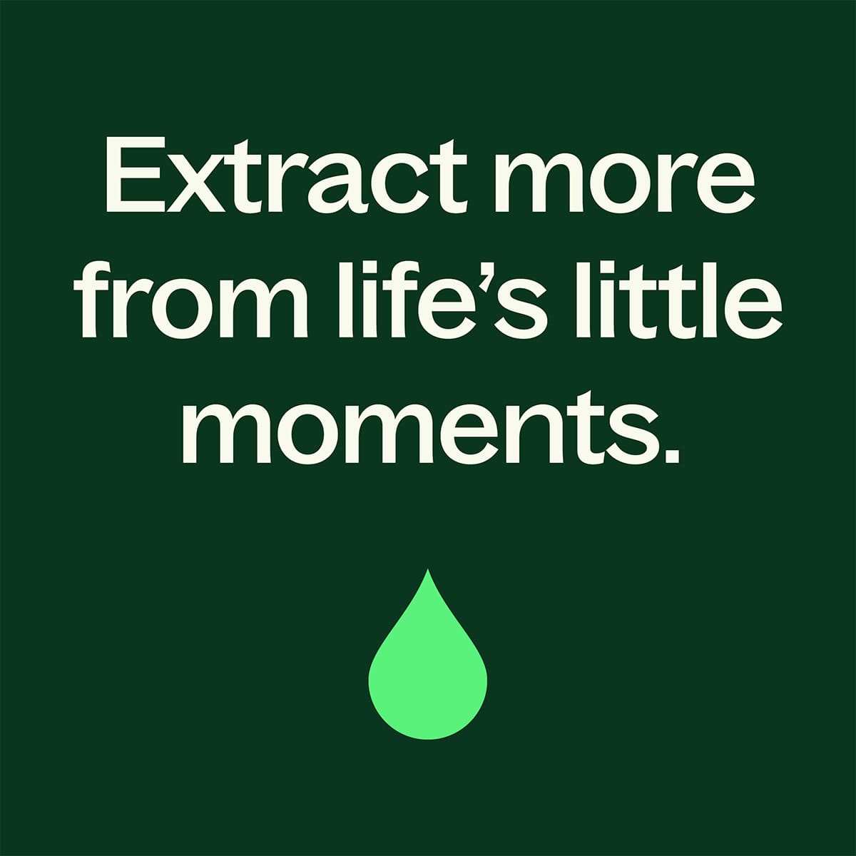 Woodland Retreat™ Essential Oil Blend Plant Therapy