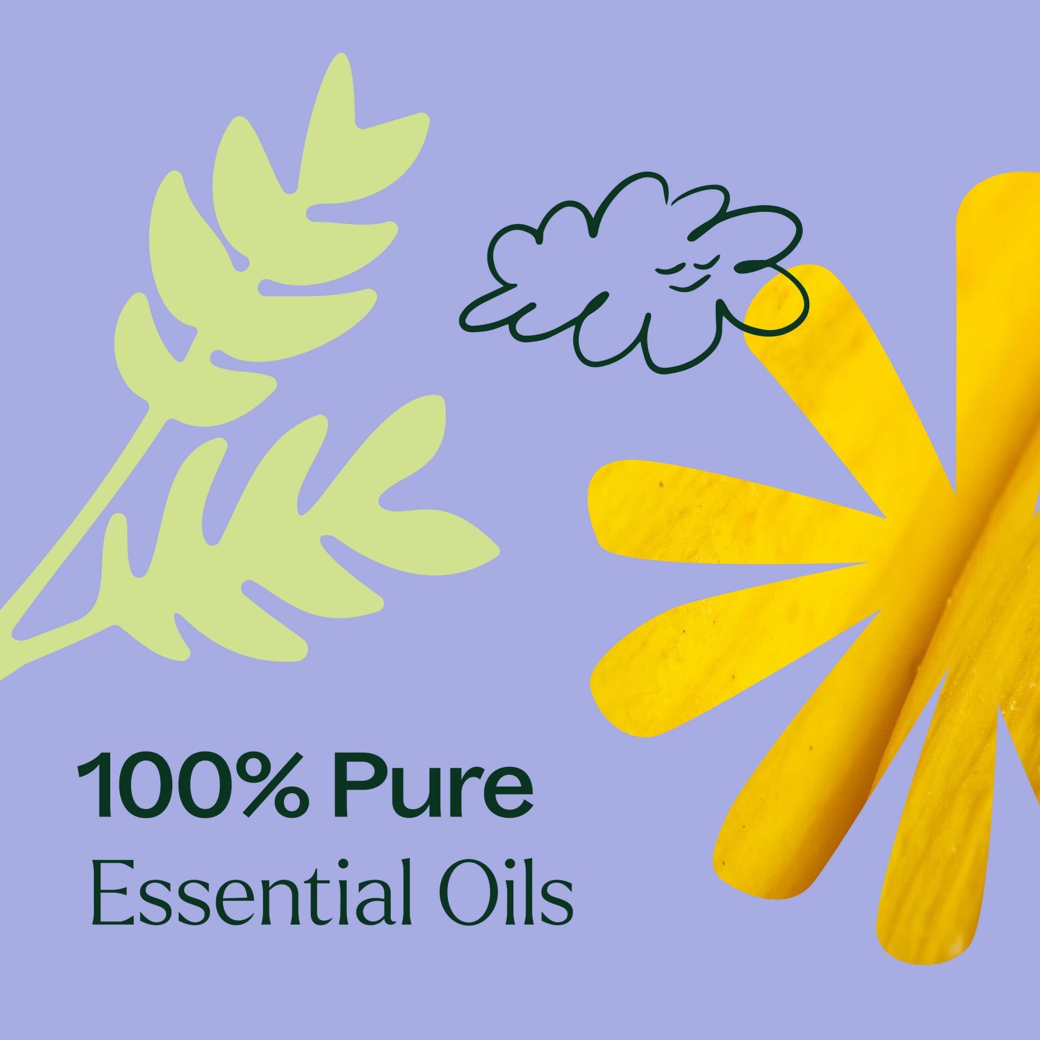 Worry Free Essential Oil Blend Plant Therapy